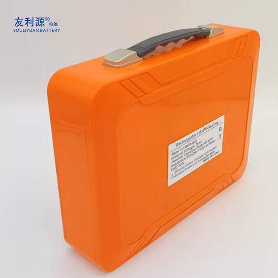 Batteria portatile LiFePO4 26650 8s6p 25.6V 21Ah EV UPS batteria al litio ferro fosfato per elettrodomestico