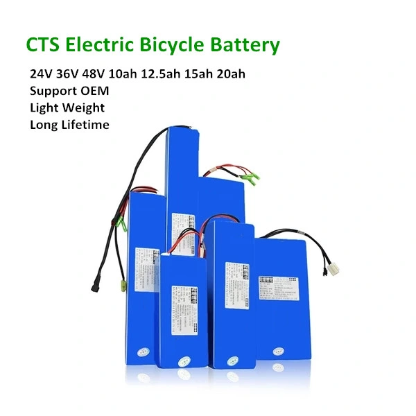 12V 24V 36V 48V 50V 60V 72V Lipo Battery 20ah 30ah 40ah 50ah 60ah LiFePO4 Battery Pack Lithium Ion Batteries for EV/Ess