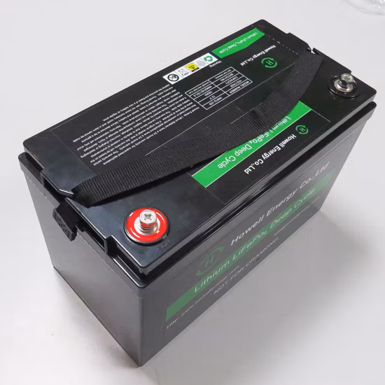 Factory Direct Supply Deep Cycle Lithium LiFePO4 12V 120ah Battery Pack for EV RV