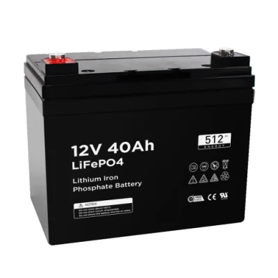 2165 Batteria al litio ferro fosfato LiFePO4 12V 40Ah con caricatore BMS