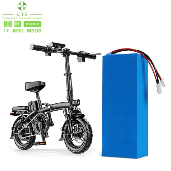 Batteria al litio personalizzata Cts 12V 24V 48V 60V 72V 20ah 30ah 40ah Batteria LiFePO4 per scooter elettrico