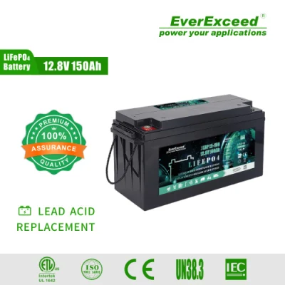 Batteria ricaricabile agli ioni di litio a ciclo profondo/pacco batteria Li-Ion 12V/24V 100Ah/150Ah/200Ah LiFePO4 per solare/Agv/EV