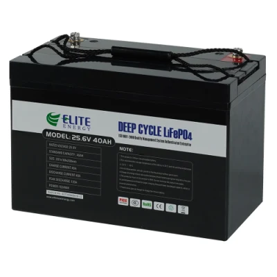 Elite Batteria ricaricabile portatile agli ioni di litio LiFePO4 ad alta capacità 24V 36V 48V 40ah per bicicletta elettrica/sistema di accumulo di energia solare