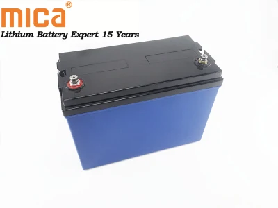 5 anni di garanzia Batteria per carrello elevatore elettrico EV Car LiFePO4 24V 80Ah per macchinari puliti